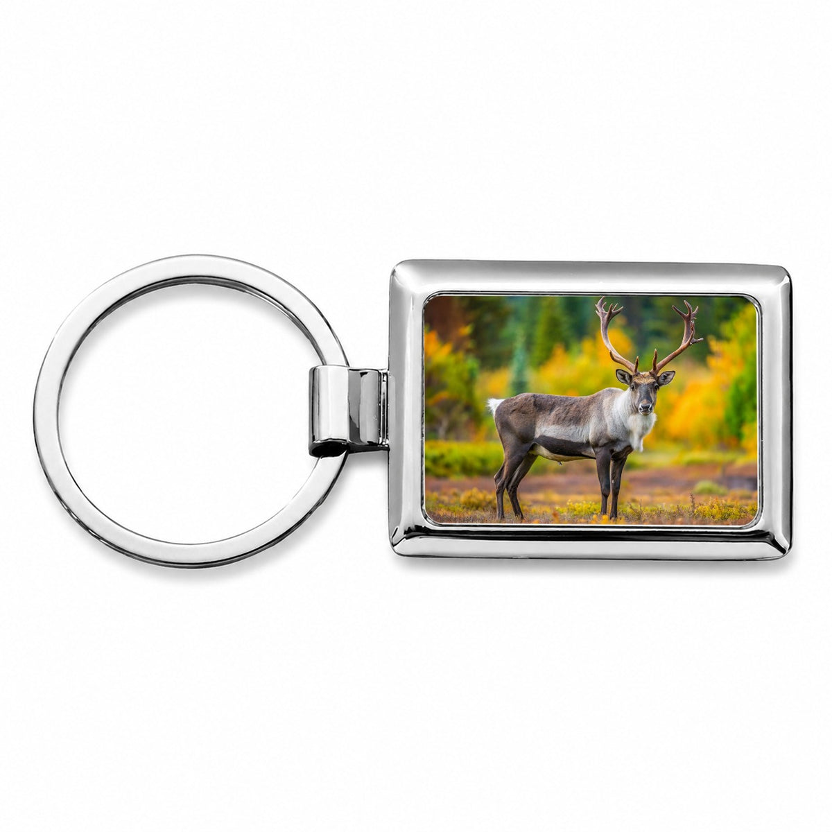 Caribou Deer Reindeer Photo Rectangle Metal Keychain