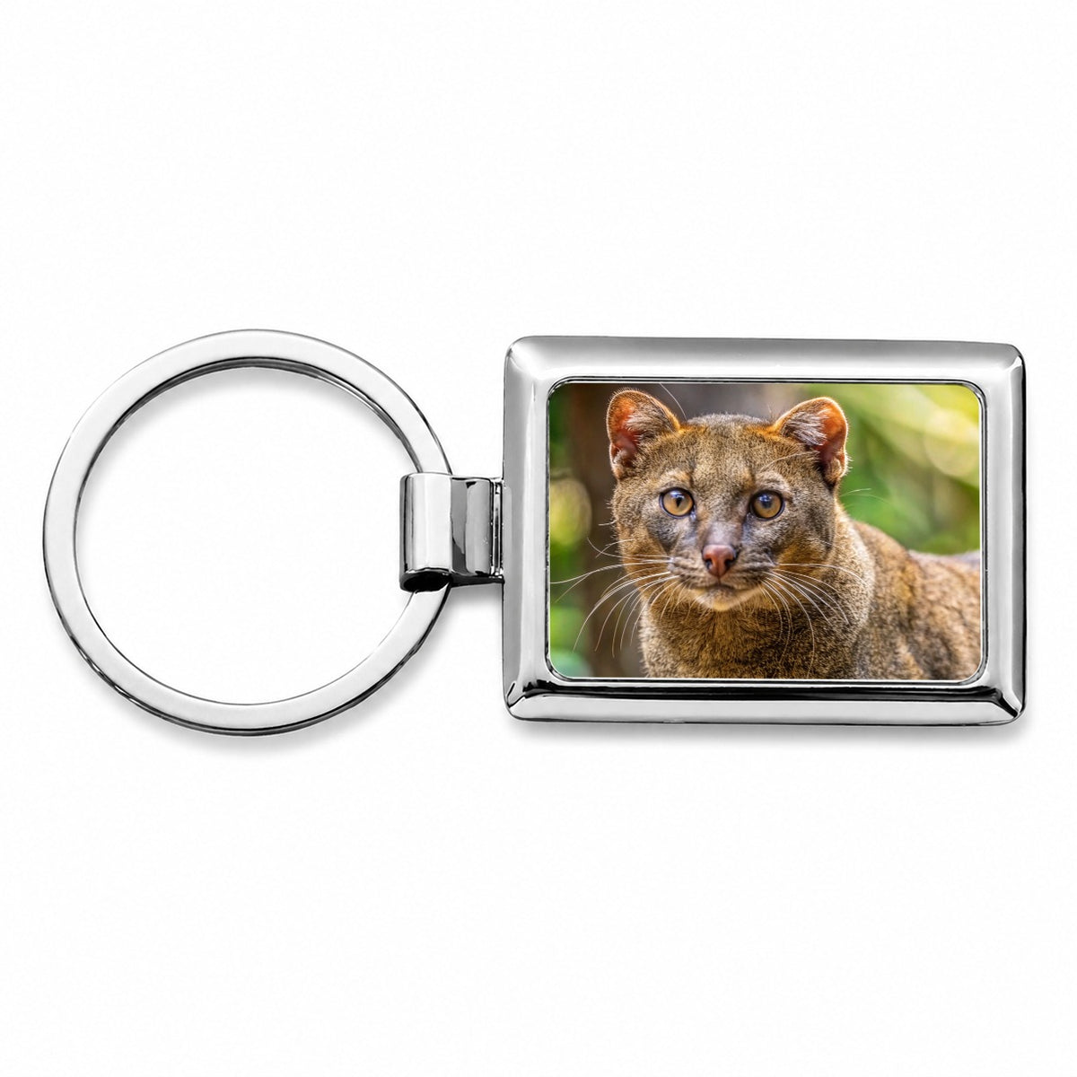 Jaguarundi Otter Cat Photo Rectangle Metal Keychain