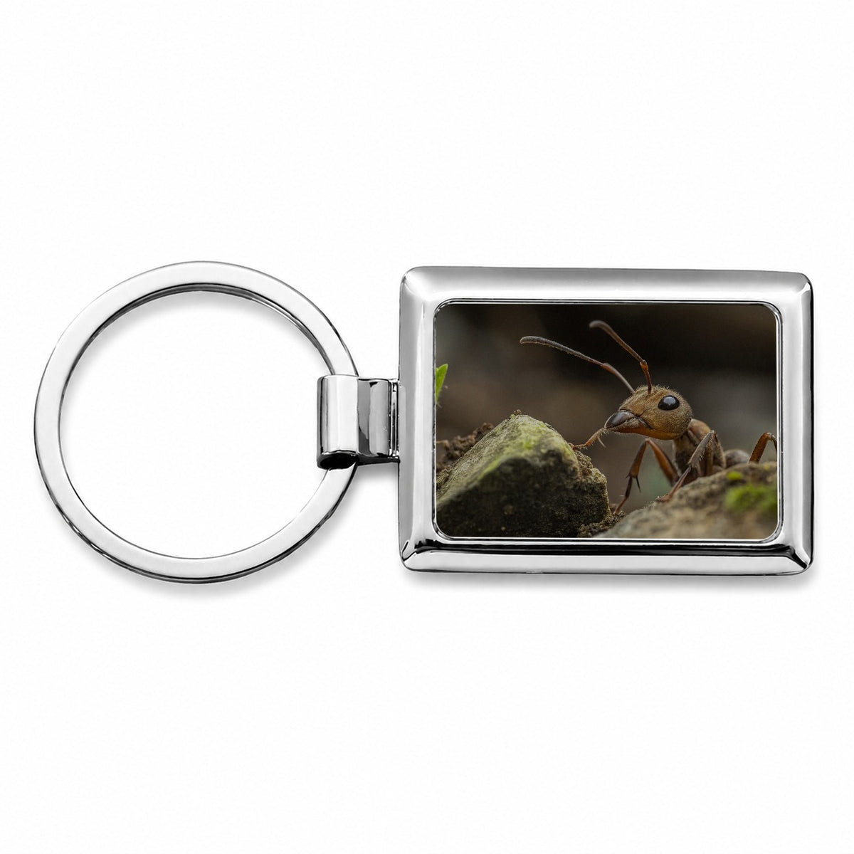 Ant Insect Nature Photo Rectangle Metal Keychain