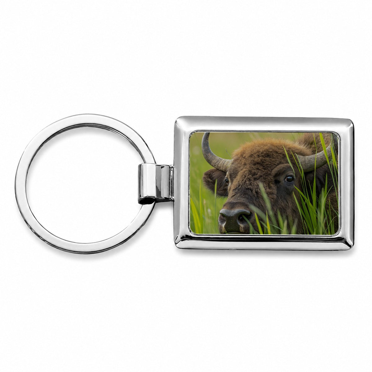 Bison Grassland Wildlife Scene Rectangle Metal Keychain