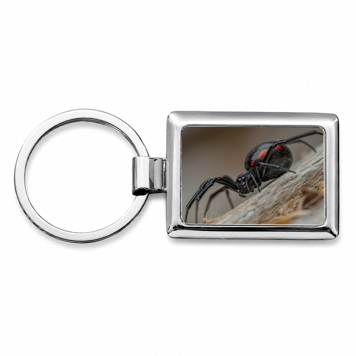 Black Widow Spider Arachnid Rectangle Metal Keychain