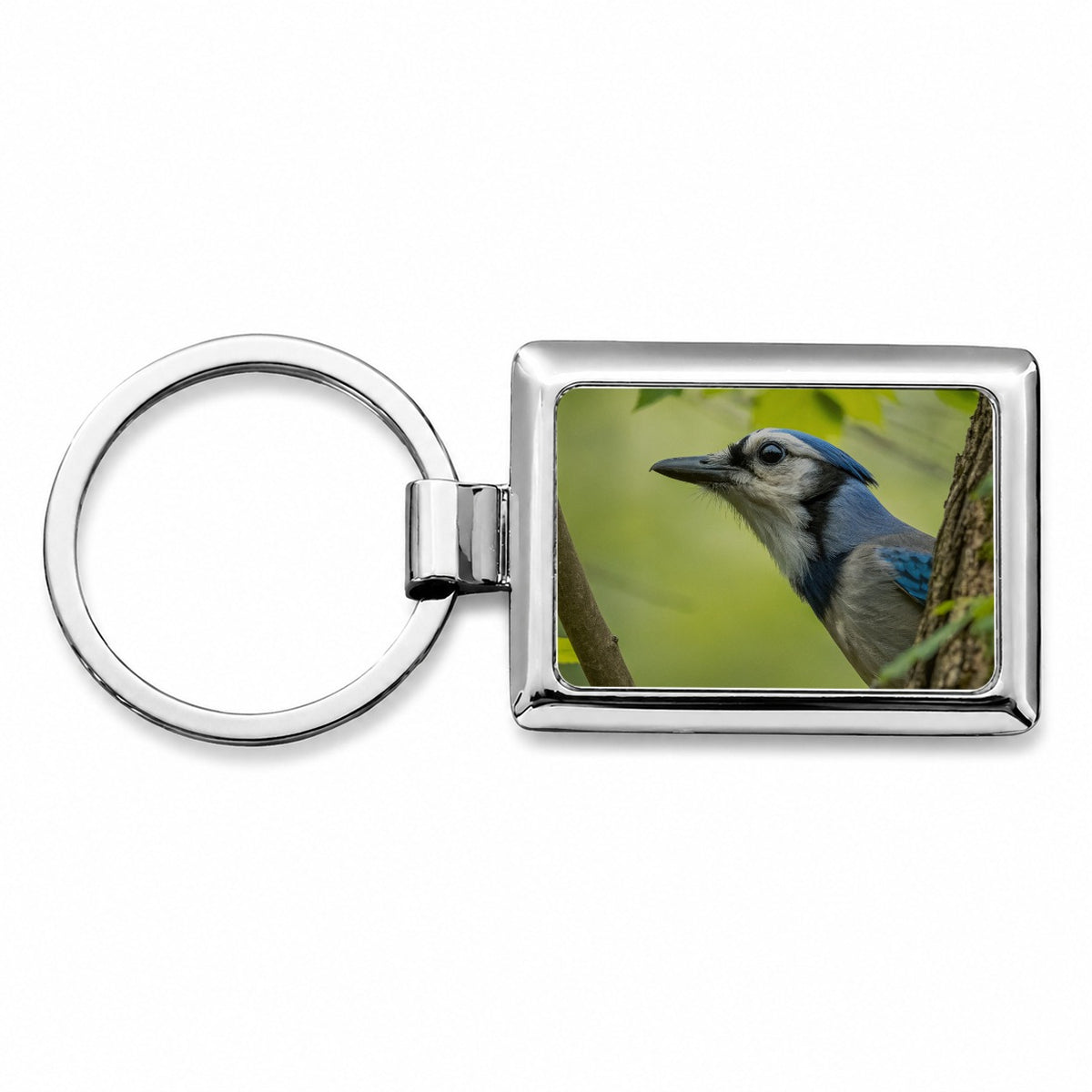 Blue Jay Bird Wildlife Rectangle Metal Keychain