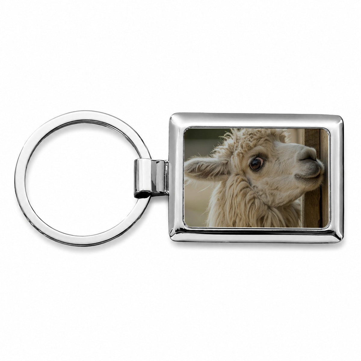 Curious Alpaca Close Up Rectangle Metal Keychain