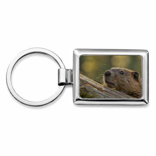 Curious Beaver Wildlife Nature Rectangle Metal Keychain
