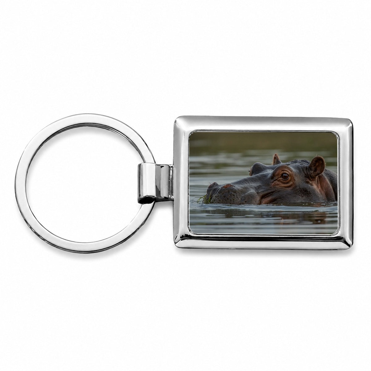 Hippo River Safari Wildlife Africa Rectangle Metal Keychain