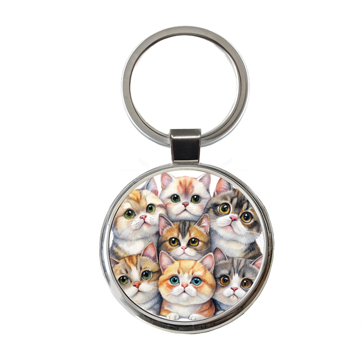 Sweet Exotic Shorthair Cats Round Metal Keychain