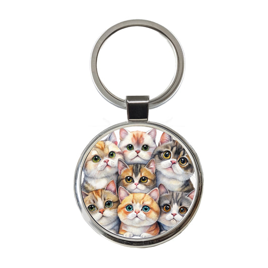 Sweet Exotic Shorthair Cats Round Metal Keychain