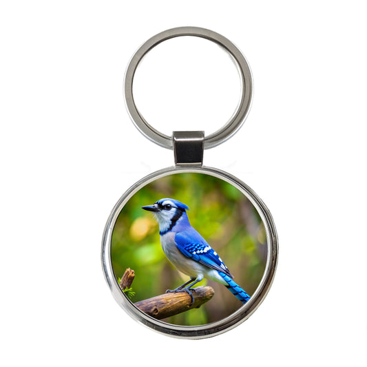 Blue Jay Backyard Bird Round Metal Keychain