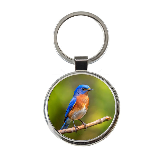 Eastern Bluebird Backyard Bird Round Metal Keychain