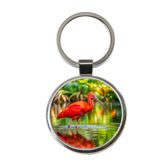 Scarlet Red Ibis Tropical Bird Round Metal Keychain