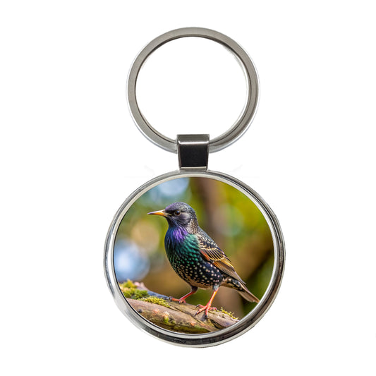 Starling Backyard Bird Round Metal Keychain