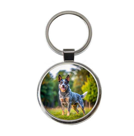 Australian Cattle Dog Photo Round Metal Keychain