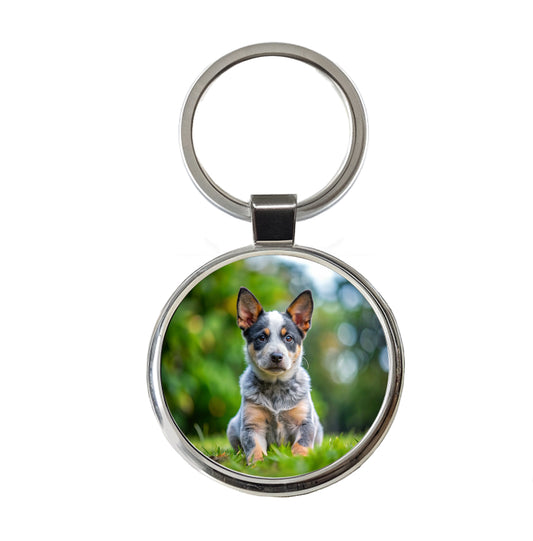 Australian Cattle Dog Puppy Photo Round Metal Keychain