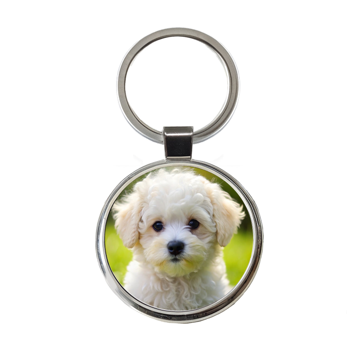 Bichon Frise Dog Puppy Photo Round Metal Keychain