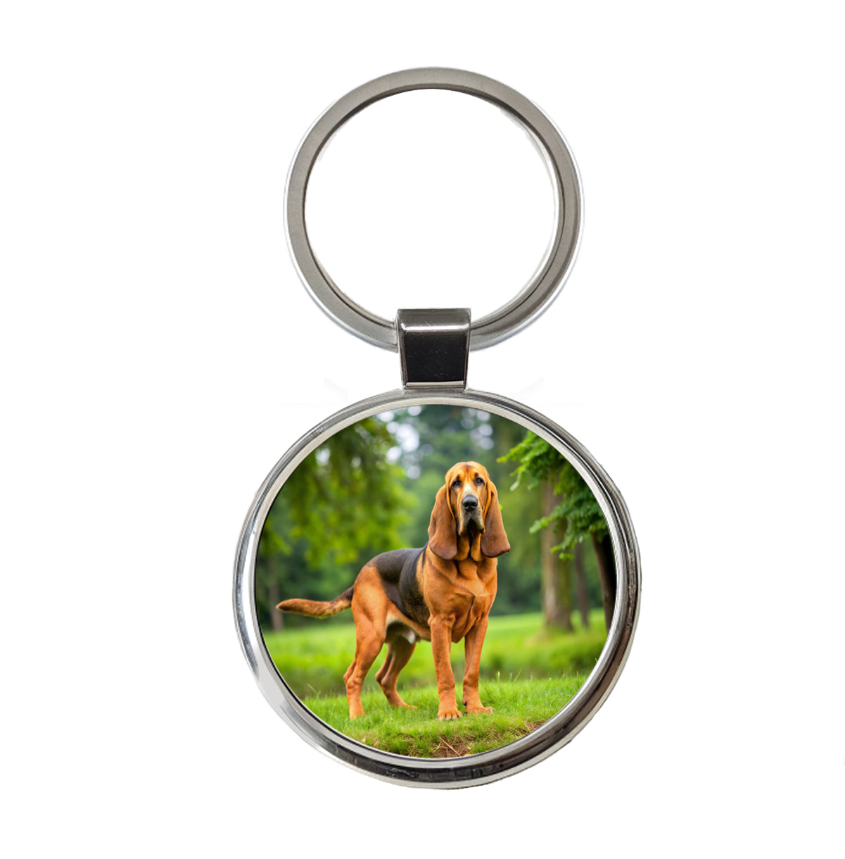 Bloodhound Dog Photo Round Metal Keychain