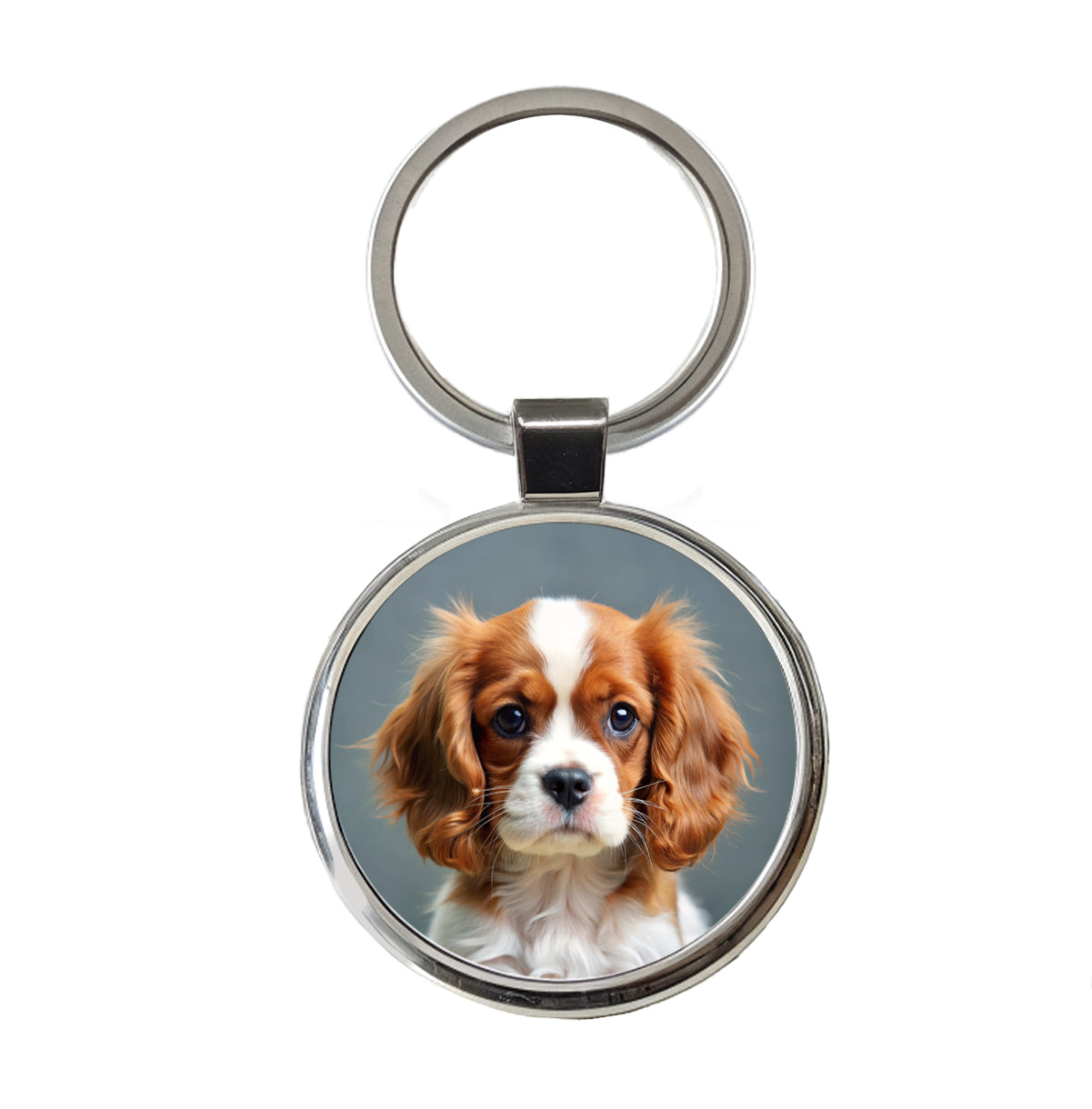 Cavalier King Charles Spaniel Dog Puppy Photo Round Metal Keychain