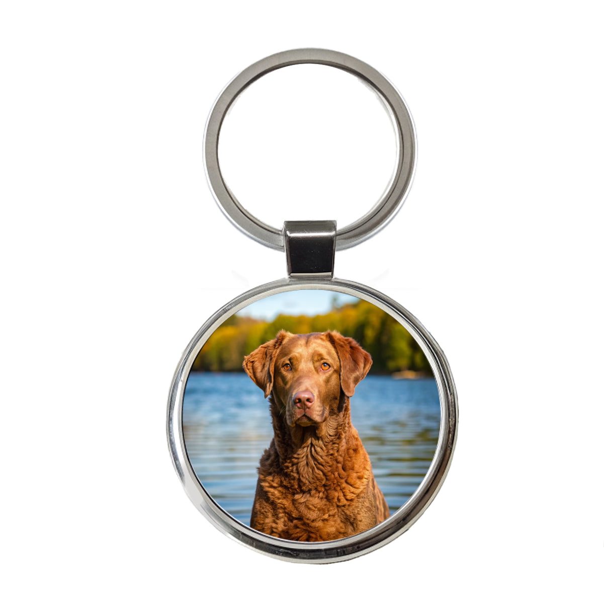 Chesapeake Bay Retriever Dog Photo Round Metal Keychain