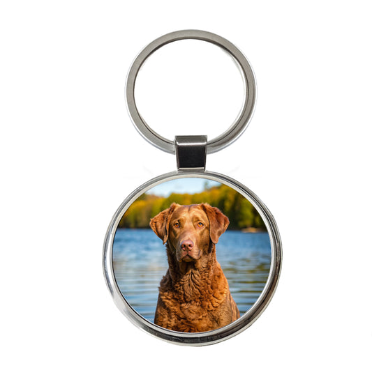 Chesapeake Bay Retriever Dog Photo Round Metal Keychain