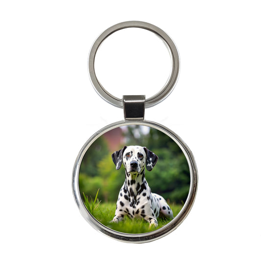 Dalmatian Dog Photo Round Metal Keychain