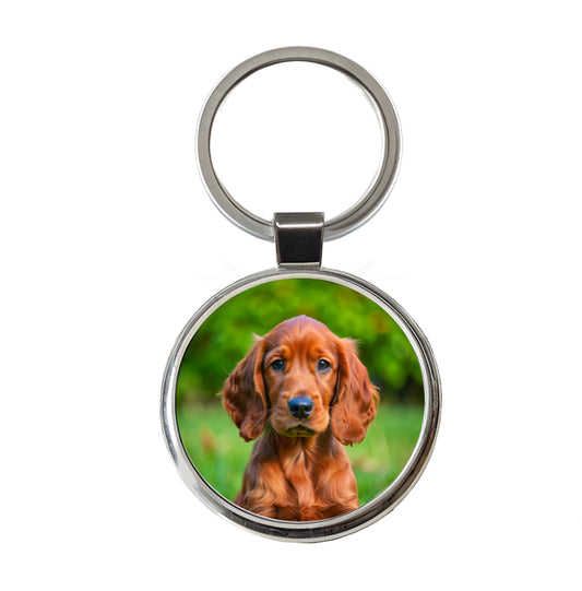Irish Setter Dog Puppy Photo Round Metal Keychain