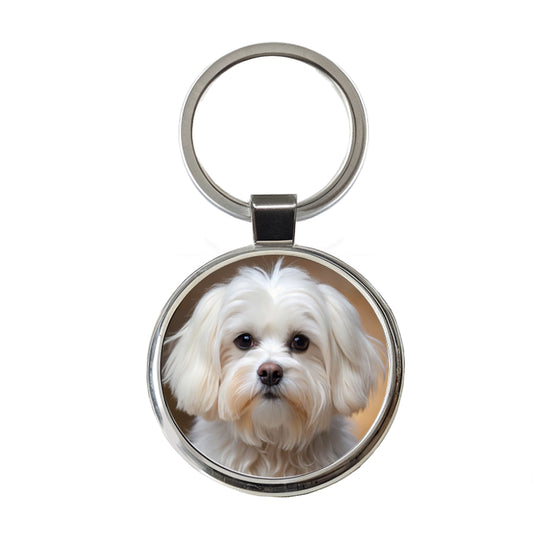 Maltese Dog Photo Round Metal Keychain