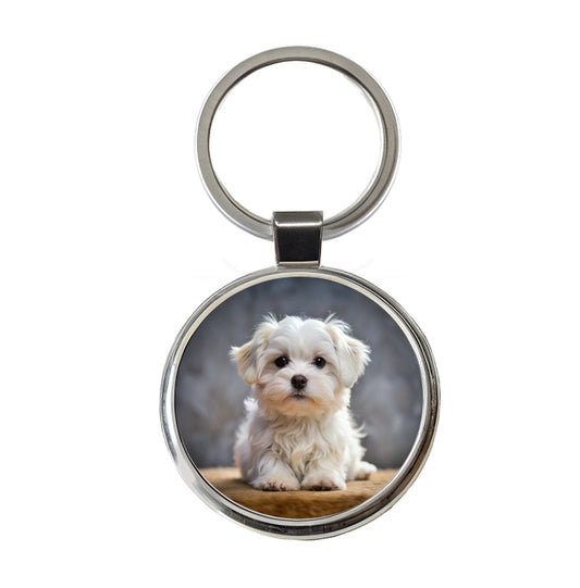Maltese Dog Puppy Photo Round Metal Keychain