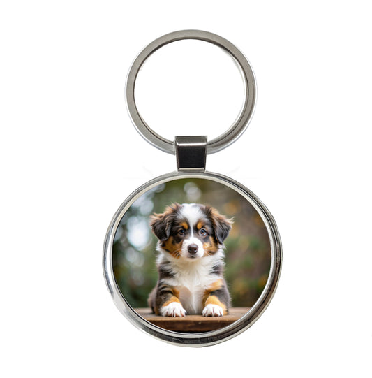 Miniature American Shepherd Dog Puppy Photo Round Metal Keychain