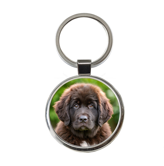 Newfoundland Dog Puppy Photo Round Metal Keychain