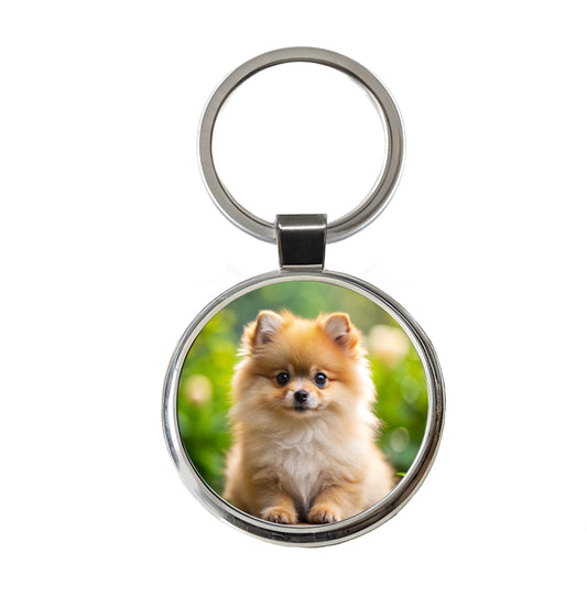 Pomeranian Dog Puppy Photo Round Metal Keychain