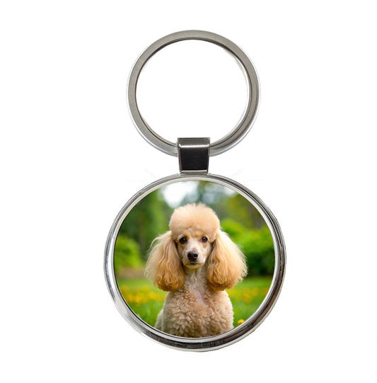 Poodle Dog Photo Round Metal Keychain