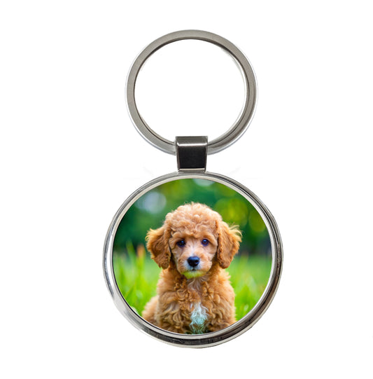 Poodle Dog Puppy Photo Round Metal Keychain