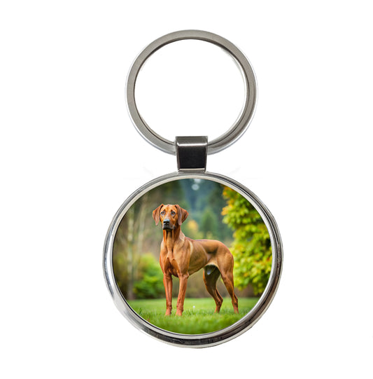 Rhodesian Ridgeback Dog Photo Round Metal Keychain