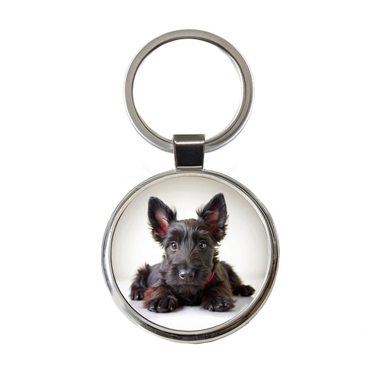Scottish Terrier Dog Puppy Photo Round Metal Keychain