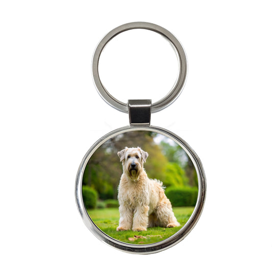 Soft Coated Wheaten Terrier Dog Photo Round Metal Keychain
