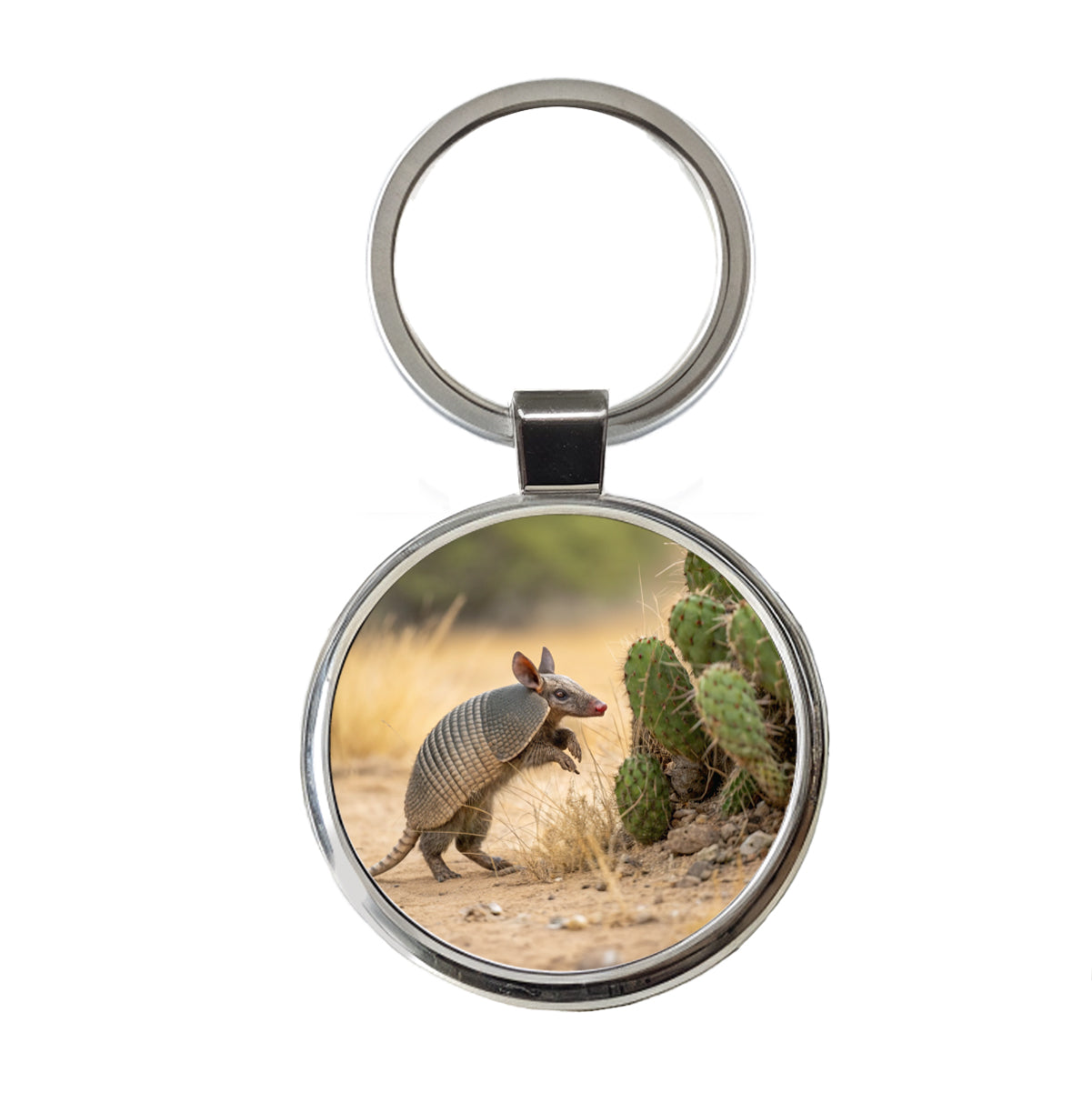 Armadillo In Desert Round Metal Keychain
