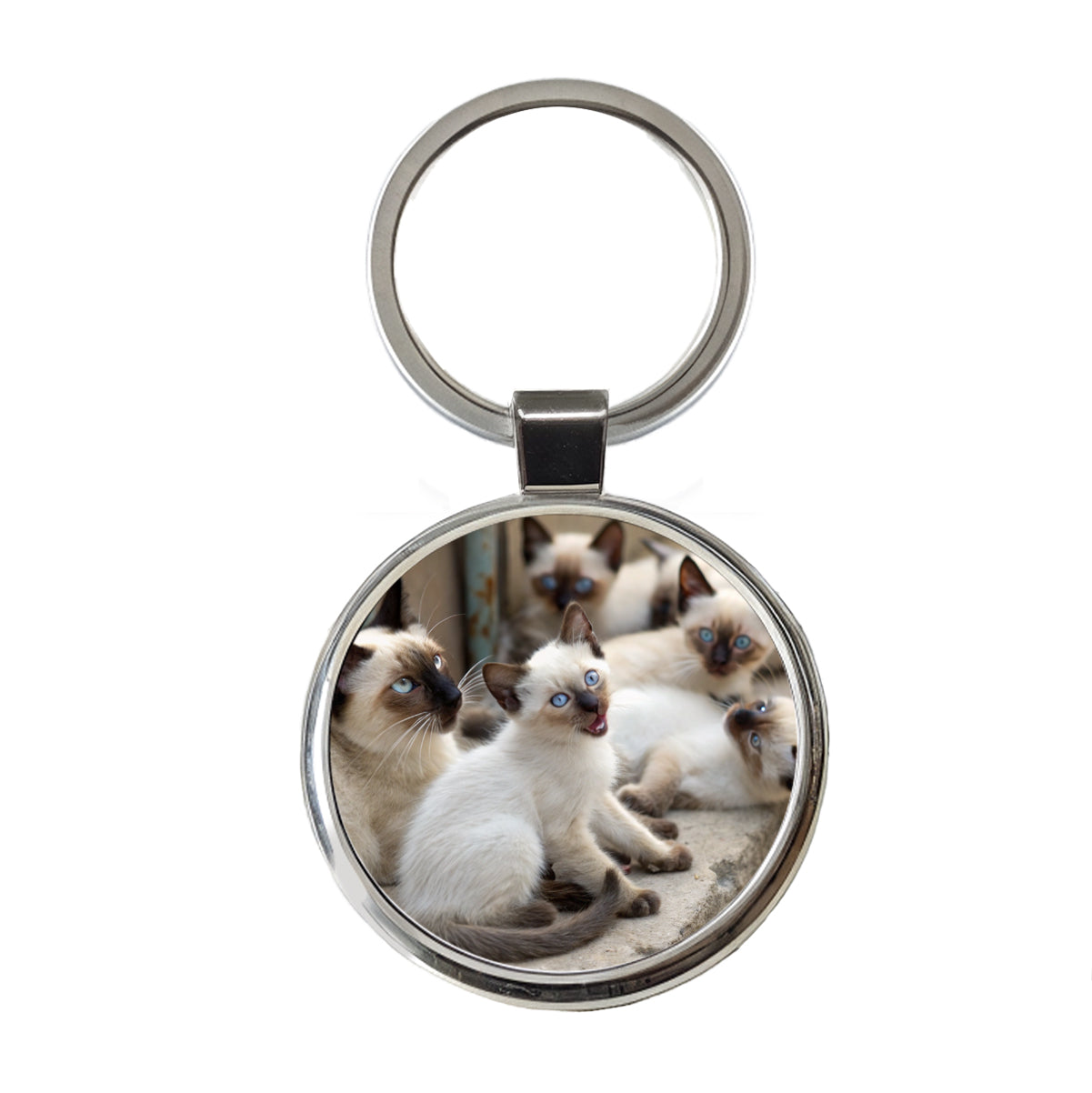 Bunch Of Siamese Cats Round Metal Keychain