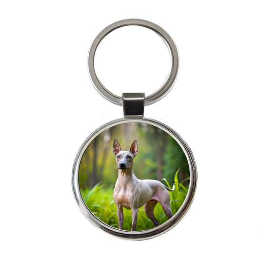 American Hairless Terrier Dog Photo Round Metal Keychain