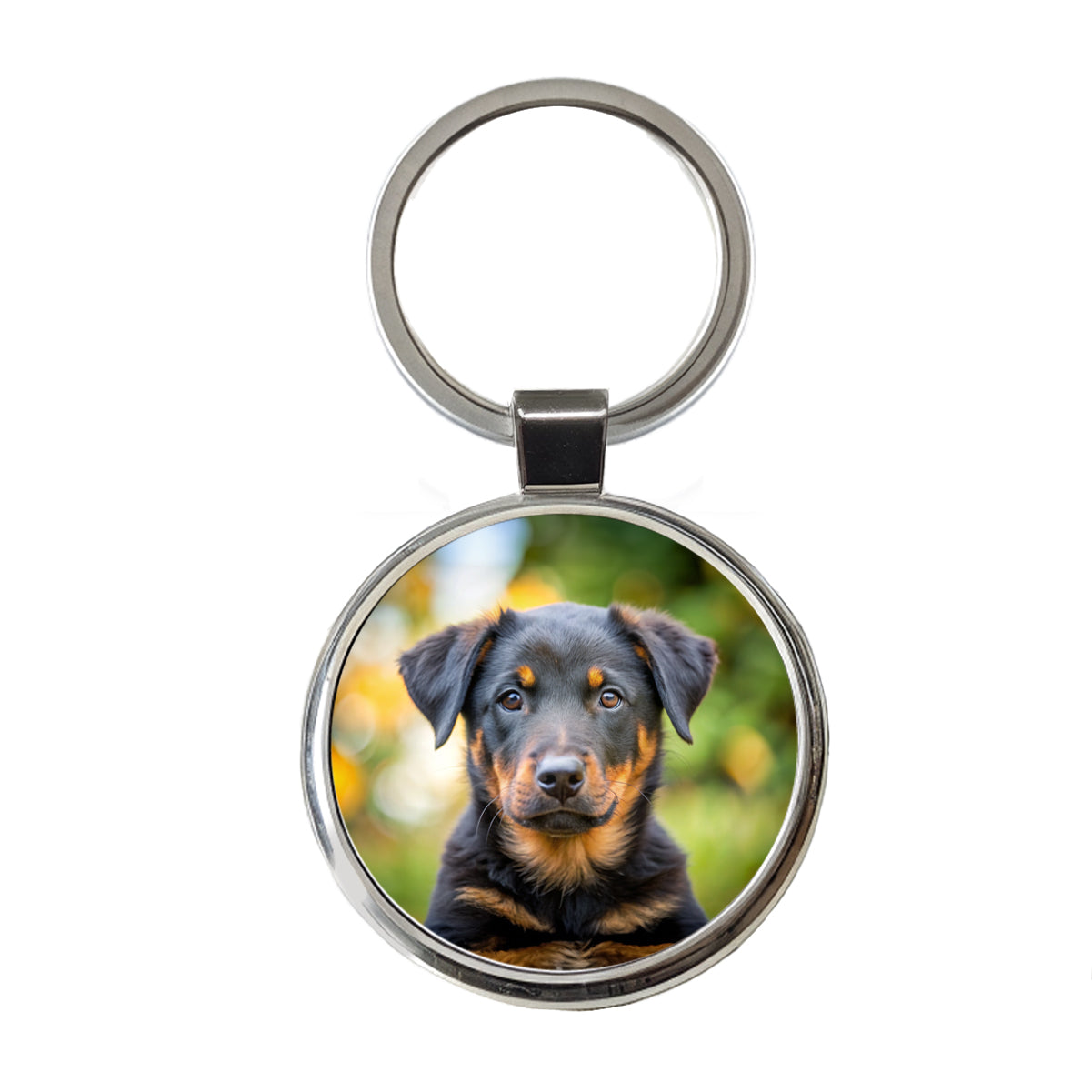 Beauceron Dog Puppy Photo Round Metal Keychain