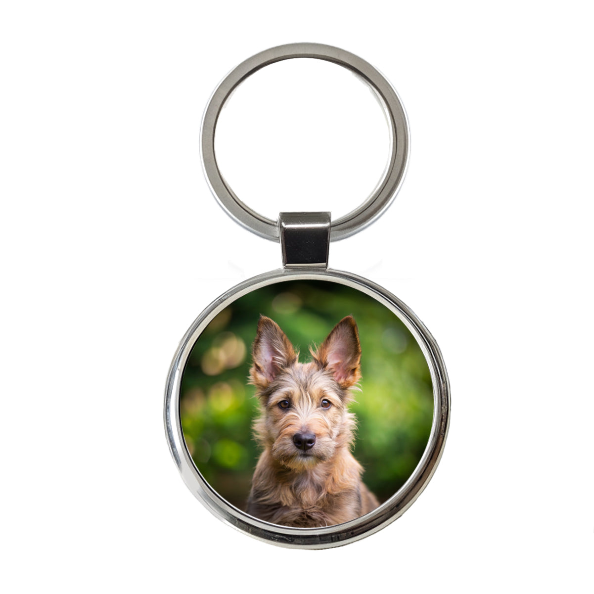 Berger Picard Dog Puppy Photo Round Metal Keychain