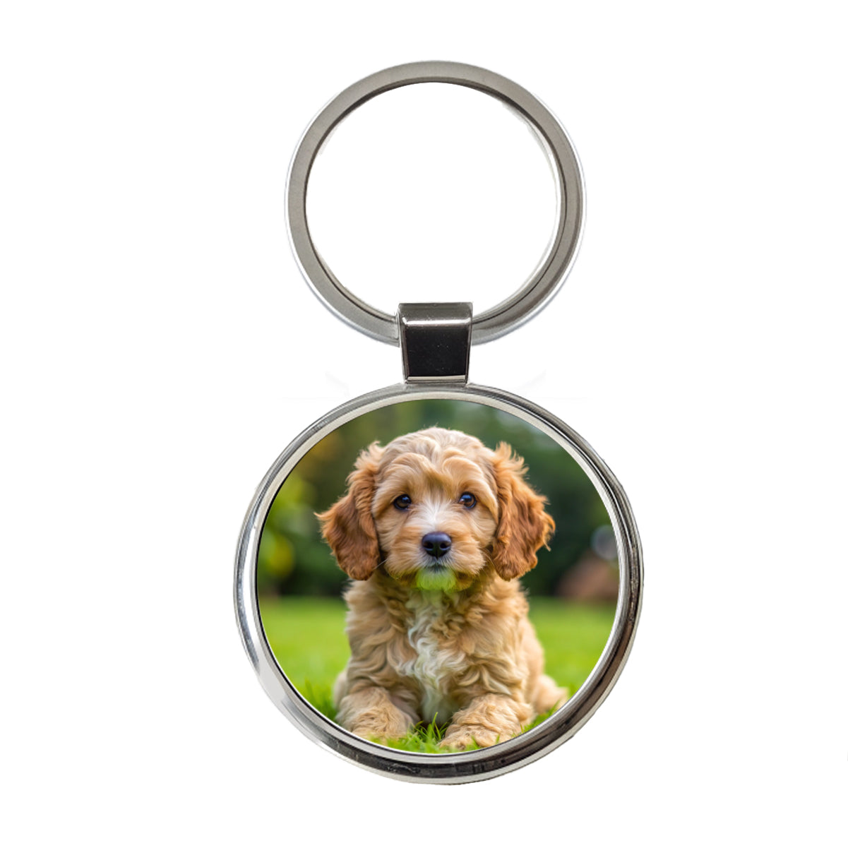 Cockapoo Dog Puppy Photo Round Metal Keychain