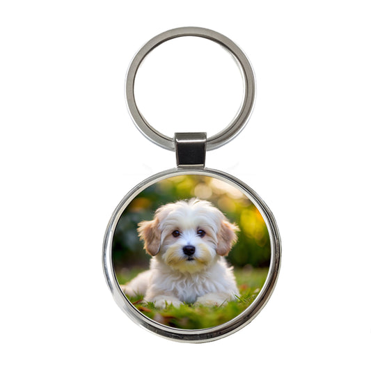 Coton De Tulear Dog Puppy Photo Round Metal Keychain