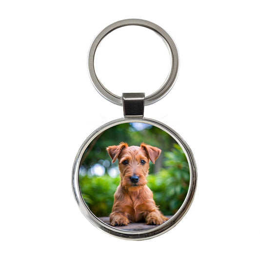 Irish Terrier Dog Puppy Photo Round Metal Keychain