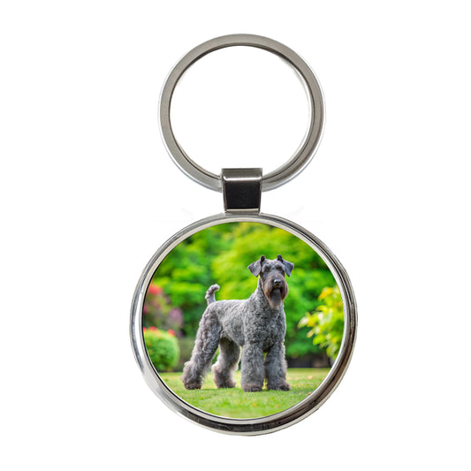 Kerry Blue Terrier Dog Photo Round Metal Keychain