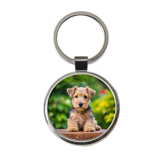Lakeland Terrier Dog Puppy Photo Round Metal Keychain