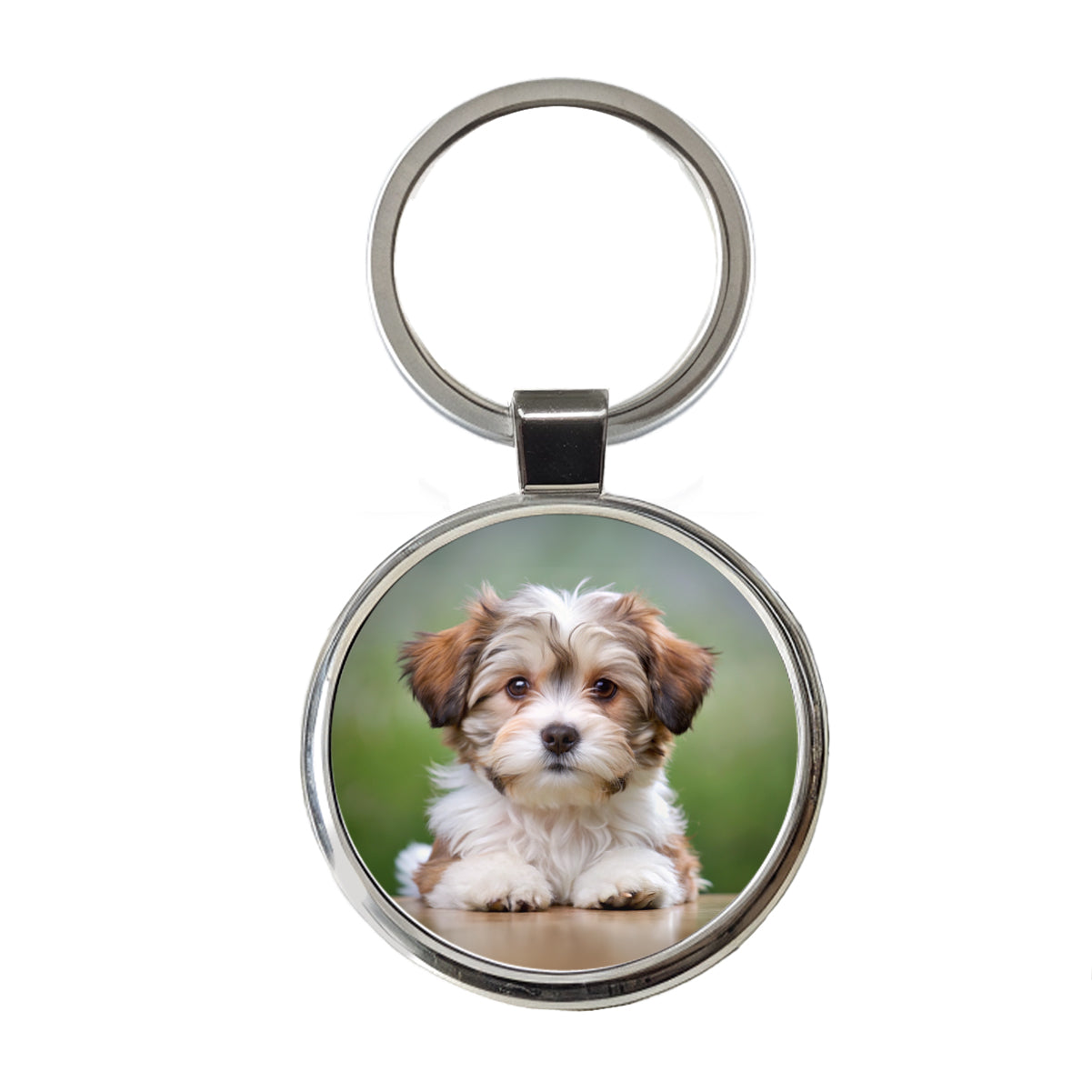 Lowchen Little Lion Dog Puppy Photo Round Metal Keychain