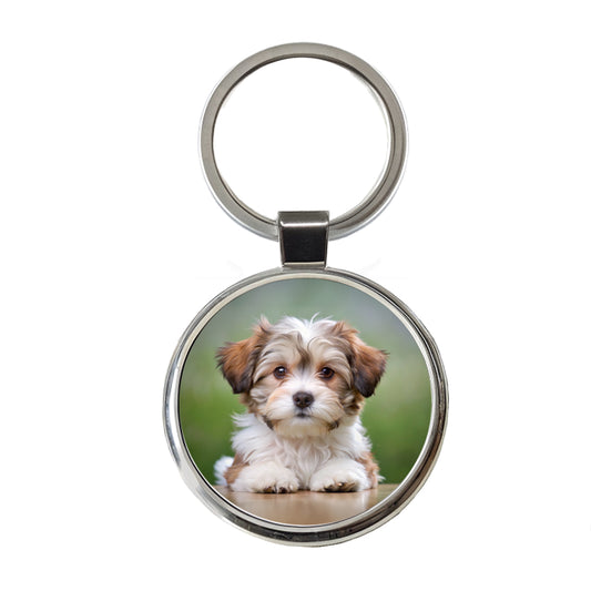 Lowchen Little Lion Dog Puppy Photo Round Metal Keychain