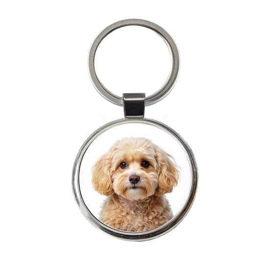 Maltipoo Dog Photo Round Metal Keychain
