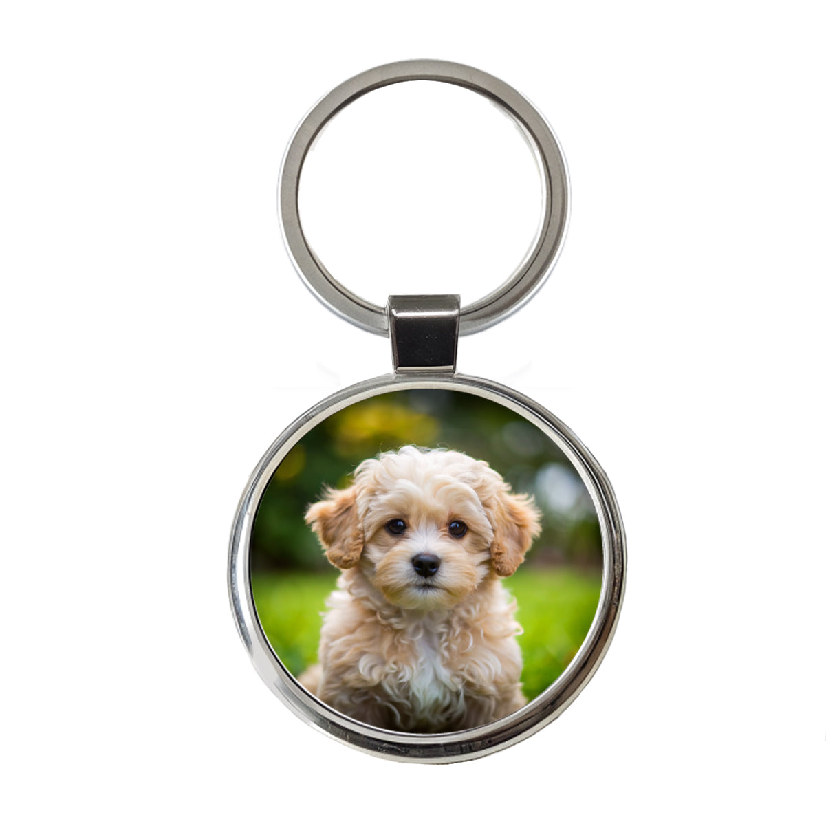 Maltipoo Dog Puppy Photo Round Metal Keychain
