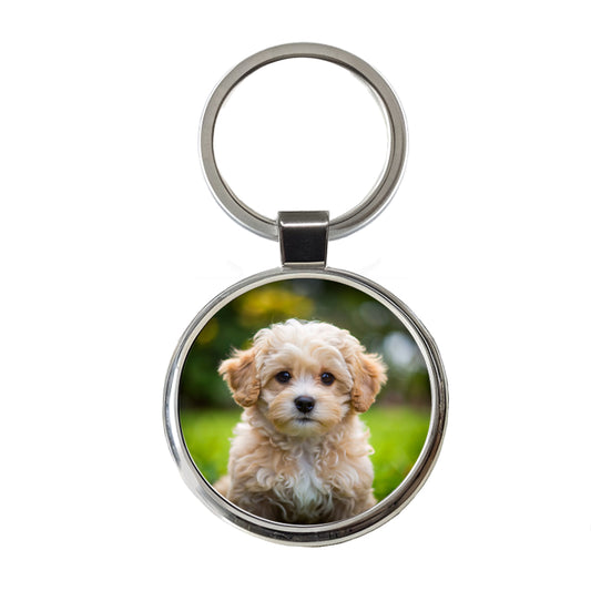 Maltipoo Dog Puppy Photo Round Metal Keychain