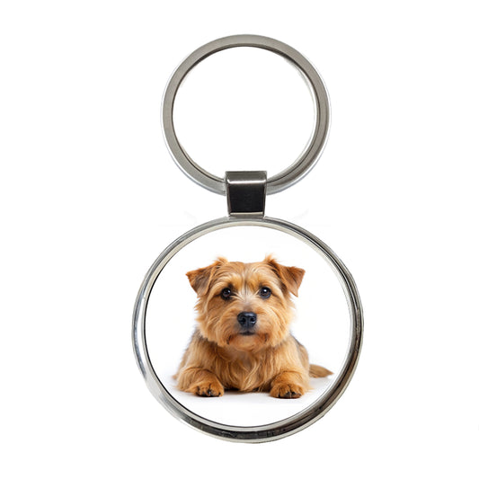Norfolk Terrier Dog Photo Round Metal Keychain